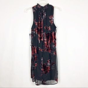 Daniel Rainn DR2 Velvet Burnout Shift Dress